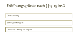 Eröffnungsgründe §§ 17-19 InsO