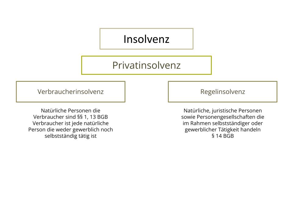 Privatinsolvenz, Anmeldung Regel- oder Verbraucherinsolvenz?