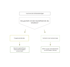 Selbstständigkeit, Insolvenz
