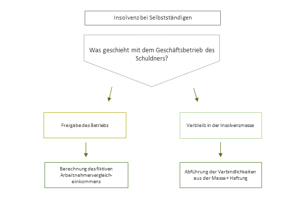 Selbstständigkeit, Insolvenz, Insolvenz bei Selbstständigen